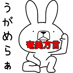 Dialect rabbit [amami2]