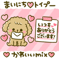 toy toy toy poodle cute sticker