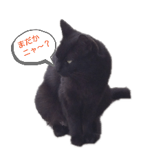 akira_20190516213921