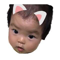 tama24