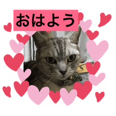 kanako_20190517123753