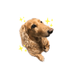 kazuki_20190517000046