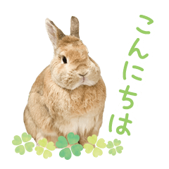 Sticker for Cute rabbit greeting