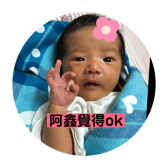 A Xin's daily language