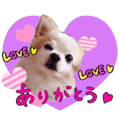 ちーまろスタンプ Line スタンプ Line Store ちーまろスタンプ Line スタンプ Line Store