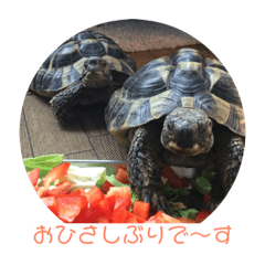 akiko_20190517170529