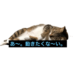 minami_20190517173702