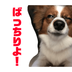 AKIRA_20190517195836
