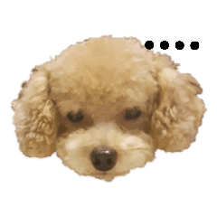 kumi的莫名其妙貼圖