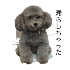 kaito_20190517201024