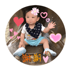 蛤弟寶