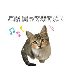 minami_1112126811140913