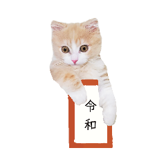 mizuki_20190518093602