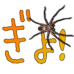 The spider is cool!