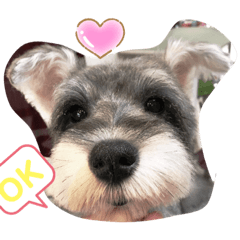 marina_20190517110300