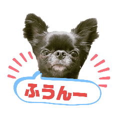 tomomi_20190517182631