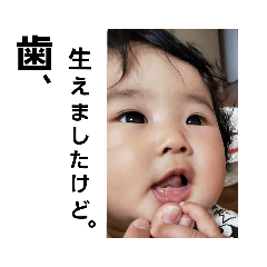 suzu_2019ko