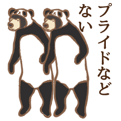 Mysterious Malayan sun bear