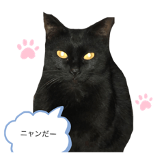 Lucy_20190518072944