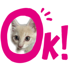 kazuki_20190518002822