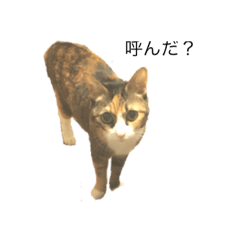 ayumi_20190518011631