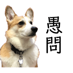 Ryu_20190518175007