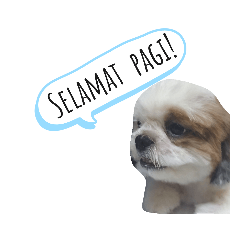 Ourshihtzu : New Stickers Pack