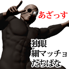 Tachibana hoso muscle