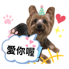 香香正能量
