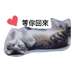 BB與樂樂の日常 part1