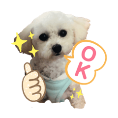 risa_20190518191103