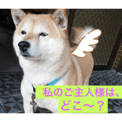 Nanamin_20190516194244