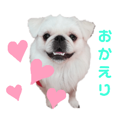 mako_20190518181141