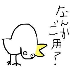 funnybird!!!!!!!