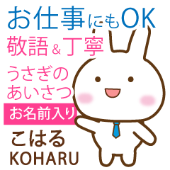 KOHARU: Rabbit.Polite greetings