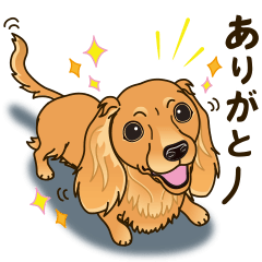 A sticker willingly. Dachshund (Cream)2