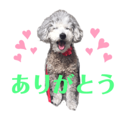 Kanako_20190519004758