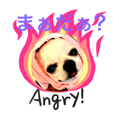 junko_20190519081357