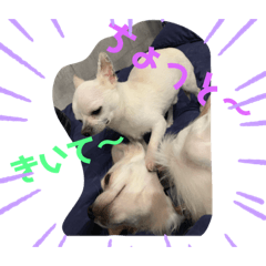 junko_20190519110950