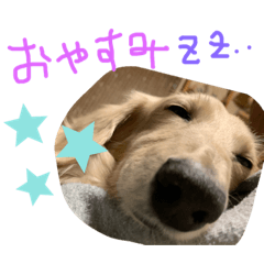miko_20190519162403