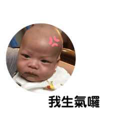 小李子2.0
