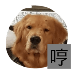 英雄再起