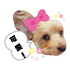 橘子妹仔