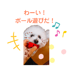 ビションフリーゼ もわもわモワちゃん Line スタンプ Line Store ビションフリーゼ もわもわモワちゃん Line スタンプ Line Store