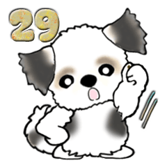 【大きめ文字】シーズー犬(日常使う言葉)29