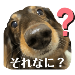 moco_20190519215914
