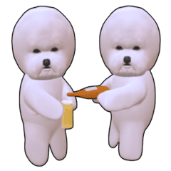 Bichon Frize animation2