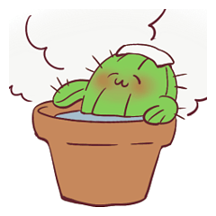 Freedom cactus