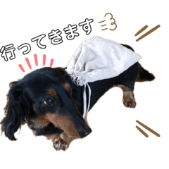 cocoa_20190519174128