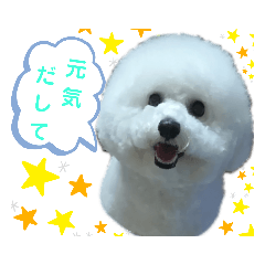 mako_20190519174329